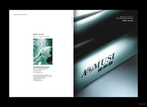 佛山品牌策劃公司 從企業(yè)策劃、形象設(shè)計(jì)到品牌設(shè)計(jì)的全案服務(wù)